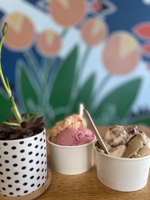 Pazzo Gelato by null