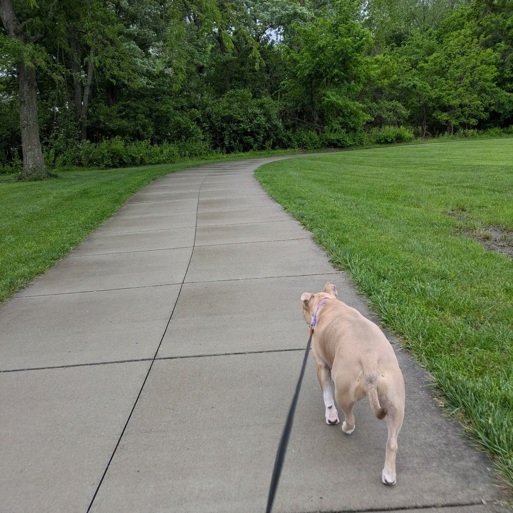 Lowenstein Park - Walking trail - Parks Near Me - Lees Summit, Missouri Lowenstein Park - Walking trail - Parks Near Me - Lees Summit, Missouri