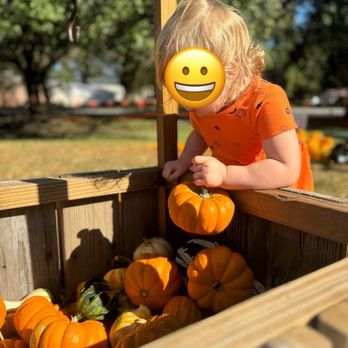 Dreaming Farms - Pumpkin Patches Near Me - Charleston, South Carolina