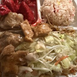 Dinner Plate Dinner Plate