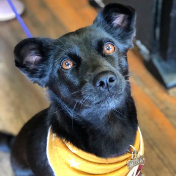 Bernal Beast - Pet Stores Near Me - San Francisco, California