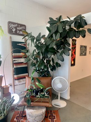 Public Land Store by null