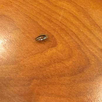Hot Pot Buffet - Cockroaches that came crawling out my food don't go here please . - Chinese Near Me - Boston, Massachusetts