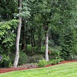Deerwood RV Park