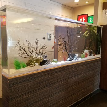 Sealine Reef - Aquarium Services Near Me Sealine Reef - Aquarium Services Near Me