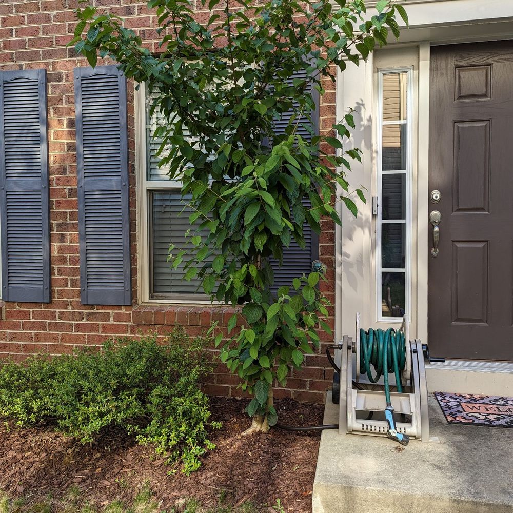 RG Landscaping - Front yard space before work was completed. - Landscaping Near Me RG Landscaping - Front yard space before work was completed. - Landscaping Near Me