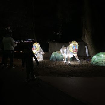 Phoenix Zoo - Zoolights - Zoos Near Me - Phoenix, Arizona Phoenix Zoo - Zoolights - Zoos Near Me - Phoenix, Arizona