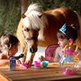 Photo of Pony Playce
