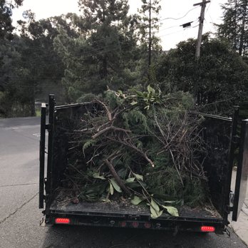 Thorn Hauling - Junk Removal & Hauling Near Me Thorn Hauling - Junk Removal & Hauling Near Me
