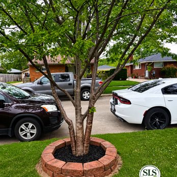 Schneider Landscaping Services - Front tree after: - Landscaping Near Me - New Baltimore, Michigan Schneider Landscaping Services - Front tree after: - Landscaping Near Me - New Baltimore, Michigan