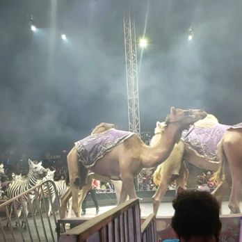 UniverSoul Circus - Festivals Near Me - National Harbor, Maryland