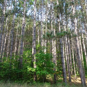 Sleeping Bear Dunes - Campgrounds Near Me - Beulah, Michigan Sleeping Bear Dunes - Campgrounds Near Me - Beulah, Michigan