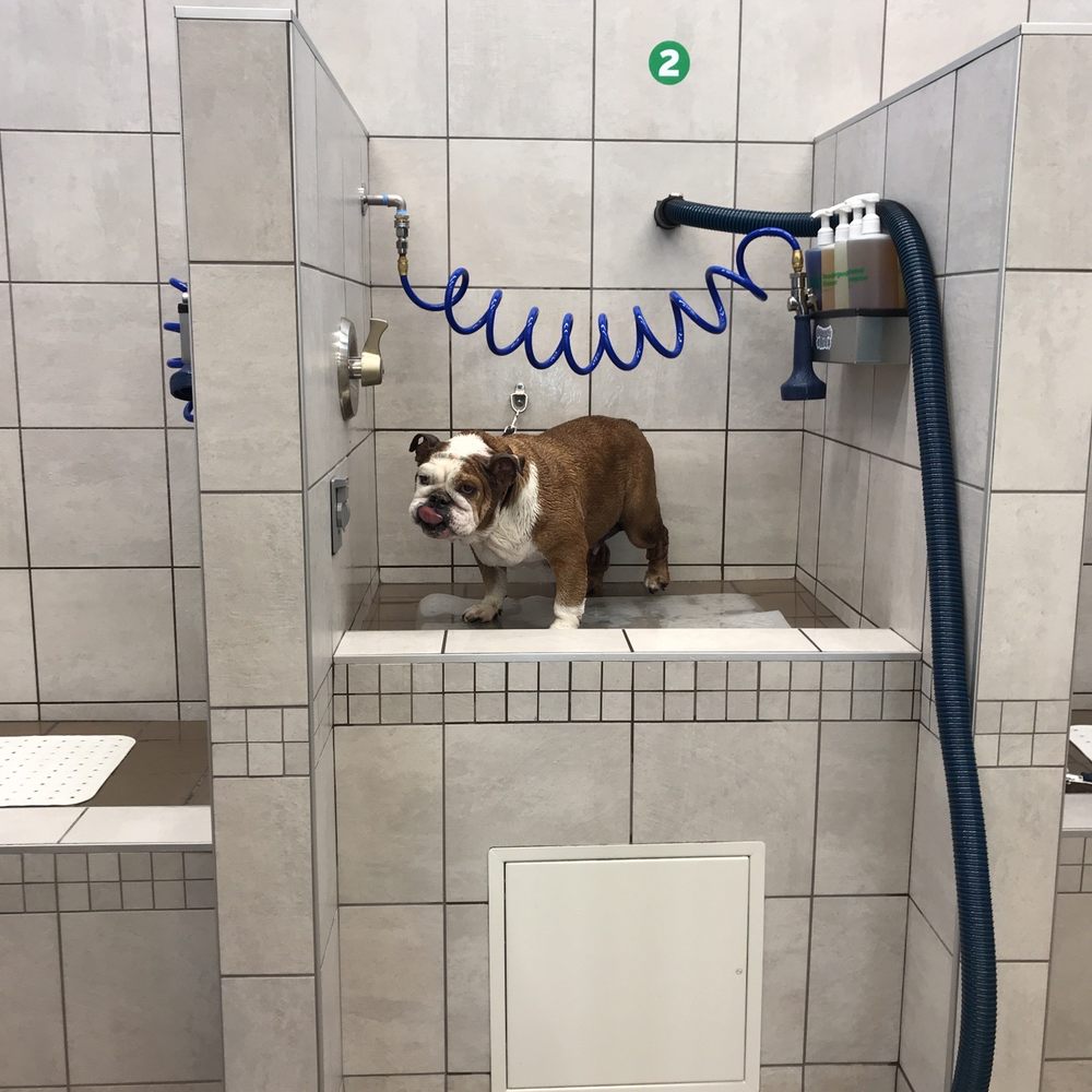 DIY dog wash with shampoo and quiet air dryer for $5 DIY dog wash with shampoo and quiet air dryer for $5