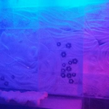 Magic Ice - All the walls have ice carvings - Bars Near Me - Bergen, 12