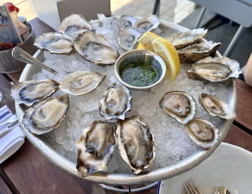 Hog Island Oyster Co by null