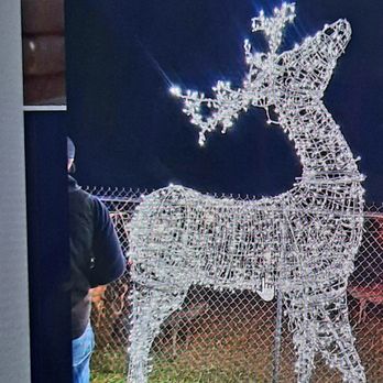 Schnepf Farms - beautiful raindeer - Venues & Event Spaces Near Me - Queen Creek, Arizona