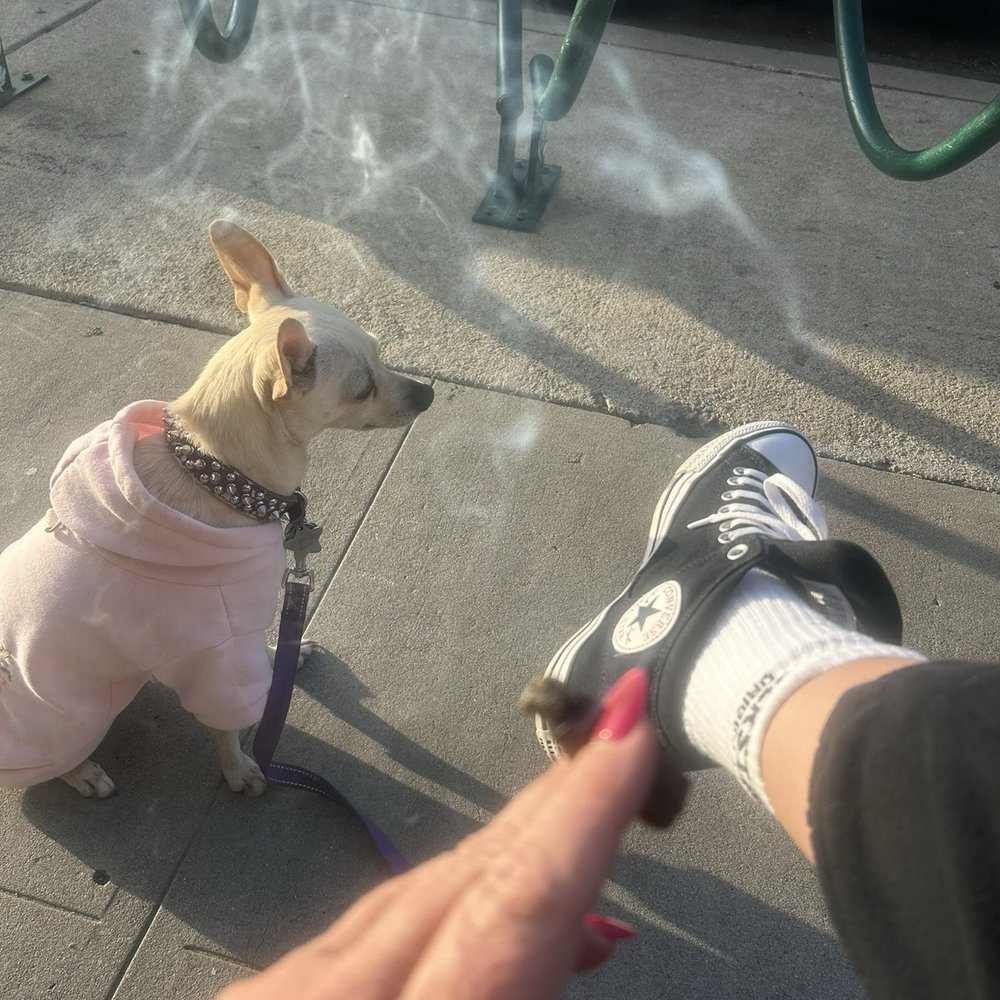 Rick Wicked's Head Shop - Chilling in front of our favorite neighborhood shop - Tobacco Shops Near Me - Long Beach, California Rick Wicked's Head Shop - Chilling in front of our favorite neighborhood shop - Tobacco Shops Near Me - Long Beach, California