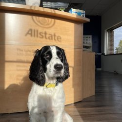 The Lyle Group: Allstate Insurance
