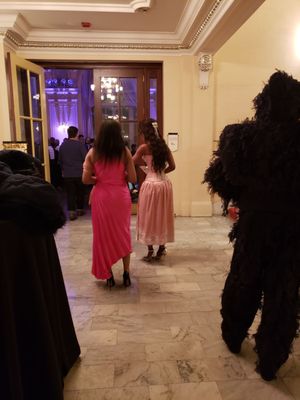 Chicago Symphony Orchestra by null