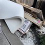 Shane’s Junk Elimination