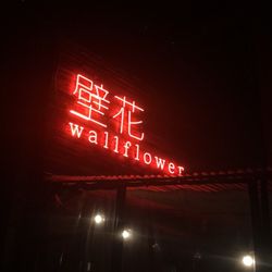 Wallflower