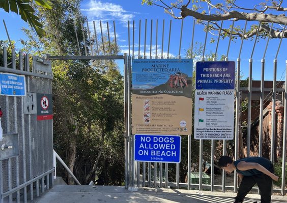 1000 Steps Beach by null