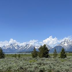 Hilltop Motel