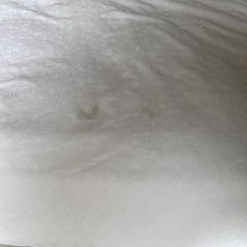 Best Western Plus Island Palms Hotel & Marina - Nasty stains on the beds didn't even sleep in it had to go buy some sheets to put in top the other bed - San Diego, CA