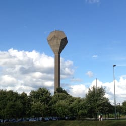 UCD