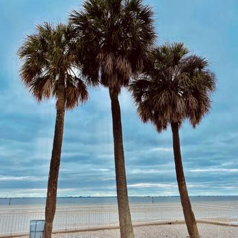 BEN T DAVIS BEACH - Updated January 2026 - 139 Photos & 79 Reviews