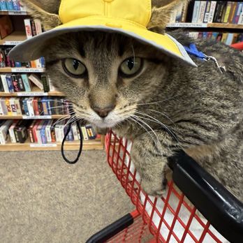 Half Price Books - An avid reader - Books, Mags, Music & Video Near Me - Indianapolis, Indiana Half Price Books - An avid reader - Books, Mags, Music & Video Near Me - Indianapolis, Indiana