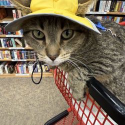 Half Price Books - An avid reader