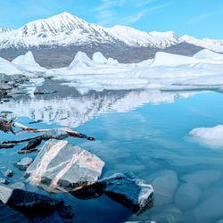 Alaska's Gold Buckle Tours