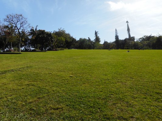 Parque de Santa Catarina by null