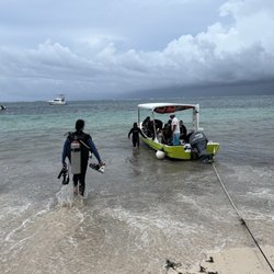 Om Delfin - Scuba diving!