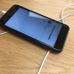 Apple The Greene - Downloading