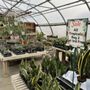 LittleTree Garden Market