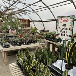 LittleTree Garden Market