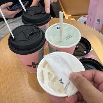Molly Tea - Premium Jasmine Milk Tea w/ 70% - Bubble Tea Near Me - Sunnyvale, California Molly Tea - Premium Jasmine Milk Tea w/ 70% - Bubble Tea Near Me - Sunnyvale, California