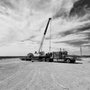 Photo of Desert Rose Logistics