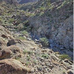 Wilderness Loop Trail - Canyon