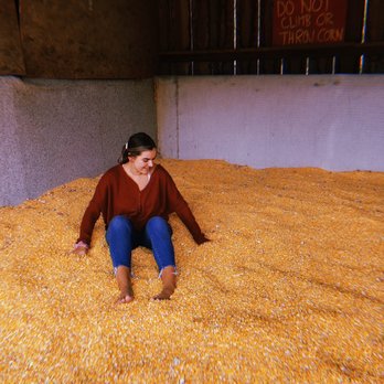 Krop's Crops - Corn Kernals - Nurseries & Gardening Near Me - Great Falls, Virginia