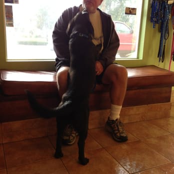 Mast Boulevard Pet Hospital - He loves his daddy - Veterinarians Near Me - Santee, California Mast Boulevard Pet Hospital - He loves his daddy - Veterinarians Near Me - Santee, California