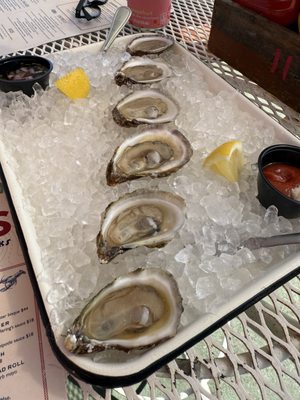 Haring's Noank by null