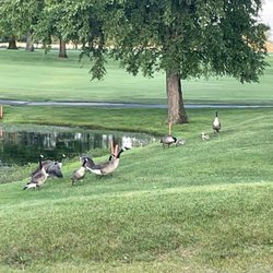 Belk Park Golf Course
