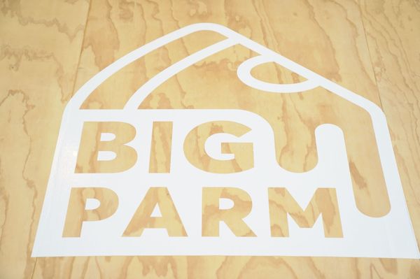 Big Parm by null