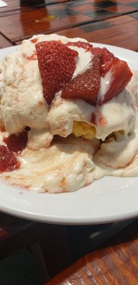 Maverick Biscuit by null