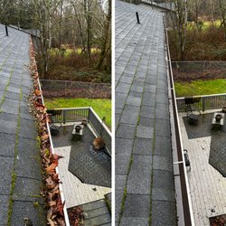 Green Leaf Roof & Gutter Cleaning