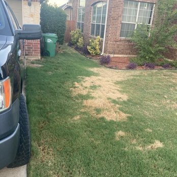 TruGreen Lawn Care - My front yard after watering leached to kill my neighbors lawn too - Tree Services Near Me - Lewisville, Texas TruGreen Lawn Care - My front yard after watering leached to kill my neighbors lawn too - Tree Services Near Me - Lewisville, Texas