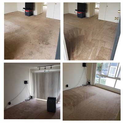 Kleenet Carpet and Upholstery 